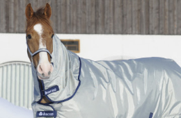 Understanding Horse Blankets 