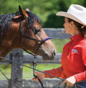 2014-02-natural-horsemanship