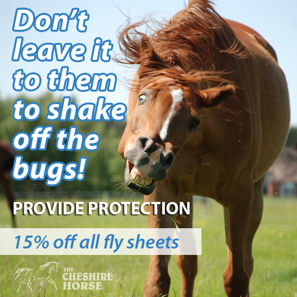 2014-08-fly-sheets
