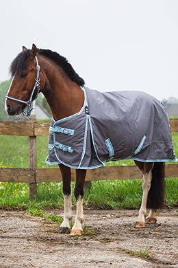 Understanding Horse Blankets 