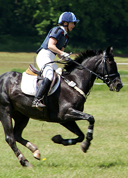 When exercised in hot, humid weather, a horse may lose up to four gallons of sweat per hour.