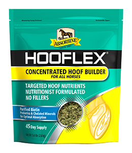 2015-08-Hooflex-Bag