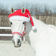 Horze Spirit Santa Horse Cap, $13.95