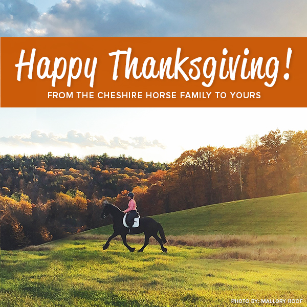 Happy Thanksgiving from The Cheshire Horse family to yours
