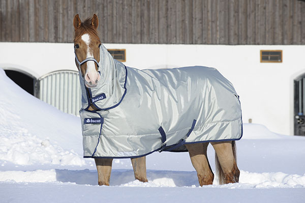Horse wearing a winter blanket in the snow