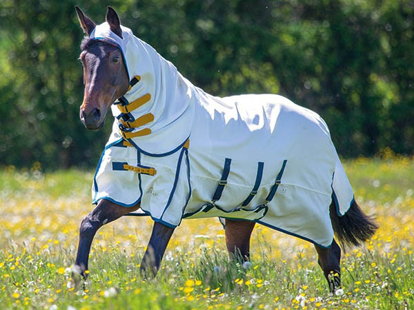 Shires Sweet-Itch Combo Fly Sheet