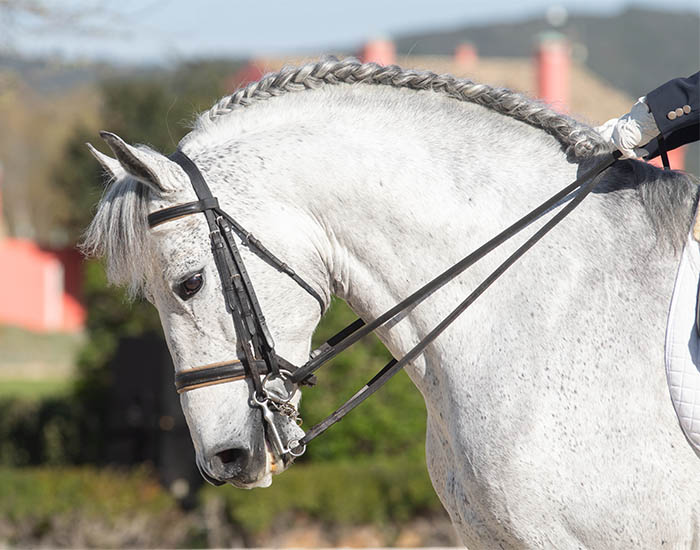 DIY Horse Mane Diamond Braid 