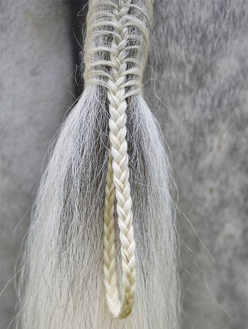 Braided tail