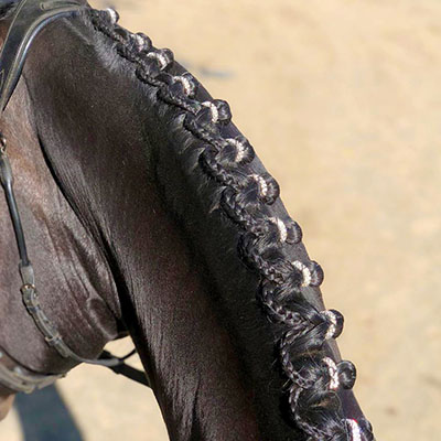 Horse with reverse scallop braids, and additional bling