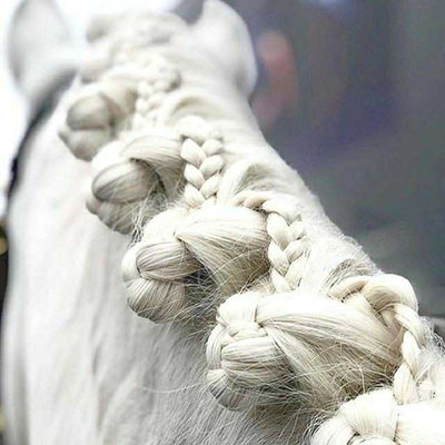 Grey horse with reverse scallop braids