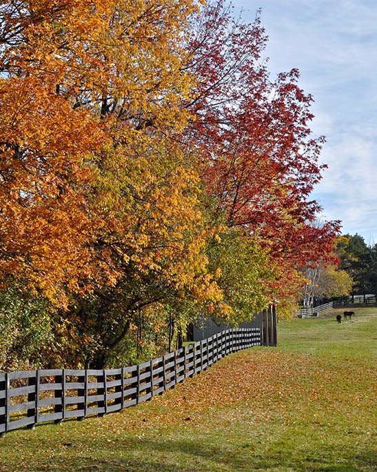 Horse pasture fence in fall