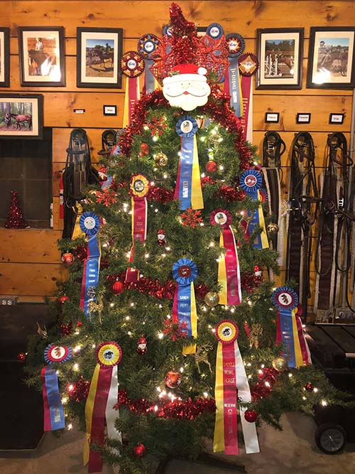 Christmas tree with horse show ribbons as decorations
