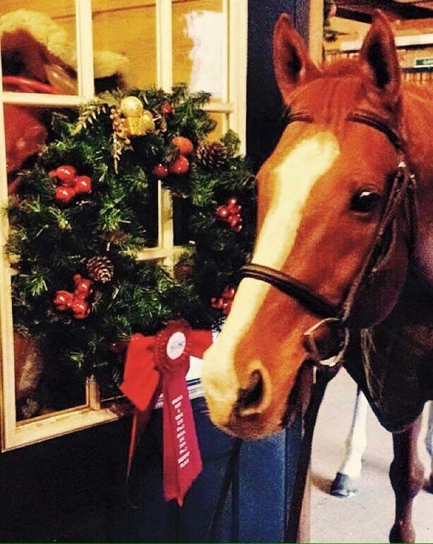 Horse with wreath on tack room door
