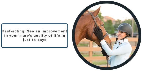 Fast-acting! See an improvement in your mare's quality of life in just 14 days