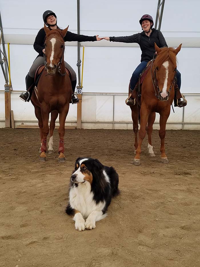Two friends on horseback holding hands, with a dog on the ground in between