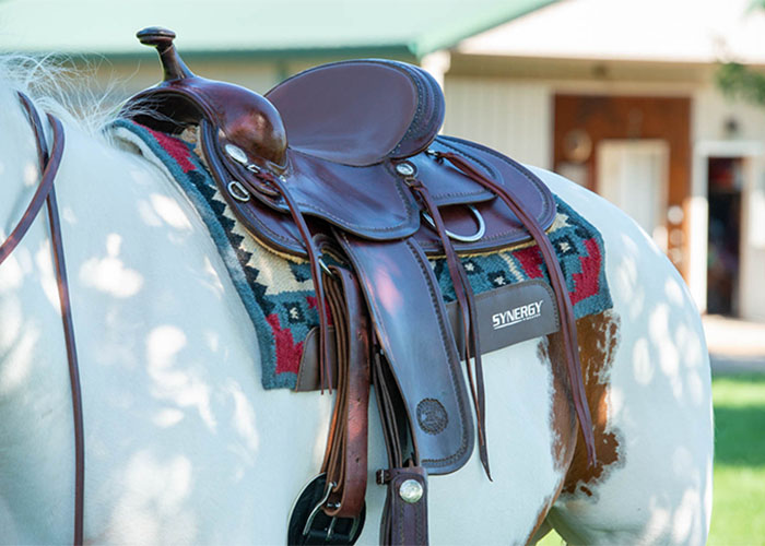 Weaver Western saddle pad and saddle