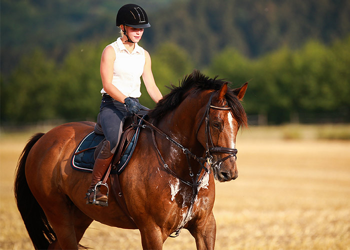 Rider on a sweaty horse