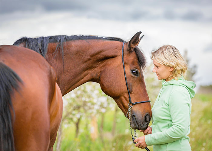 Woman looking affectionately at a bay horse
