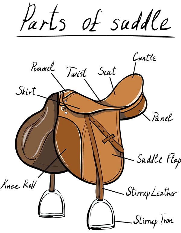Parts of an English saddle diagram