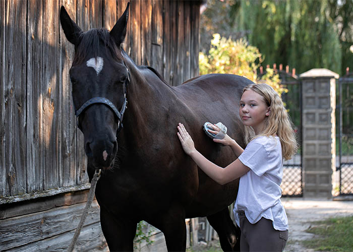 Child grooming horse with brush