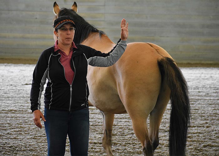 Sharon Wilsie interacting with a buckskin horse in an indoor arena