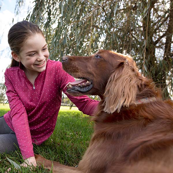 Happy child interacting with a relaxed dog on a farm