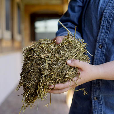 Hands holding Triple Crown Stress-Free Forage