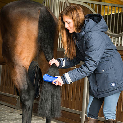 Woman brushing a horse's tail