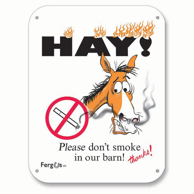 Fergus No Smoking Sign