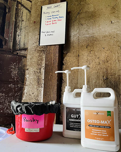 Paisley's supplements in the feed room