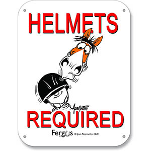 Kelley and Company "Helmets Required" Fergus Sign