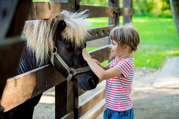 Child petting a pony through a fence