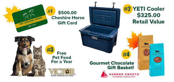 $500 gift card, YETI cooler, free pet food for a year, and a gourmet chocolate gift basket