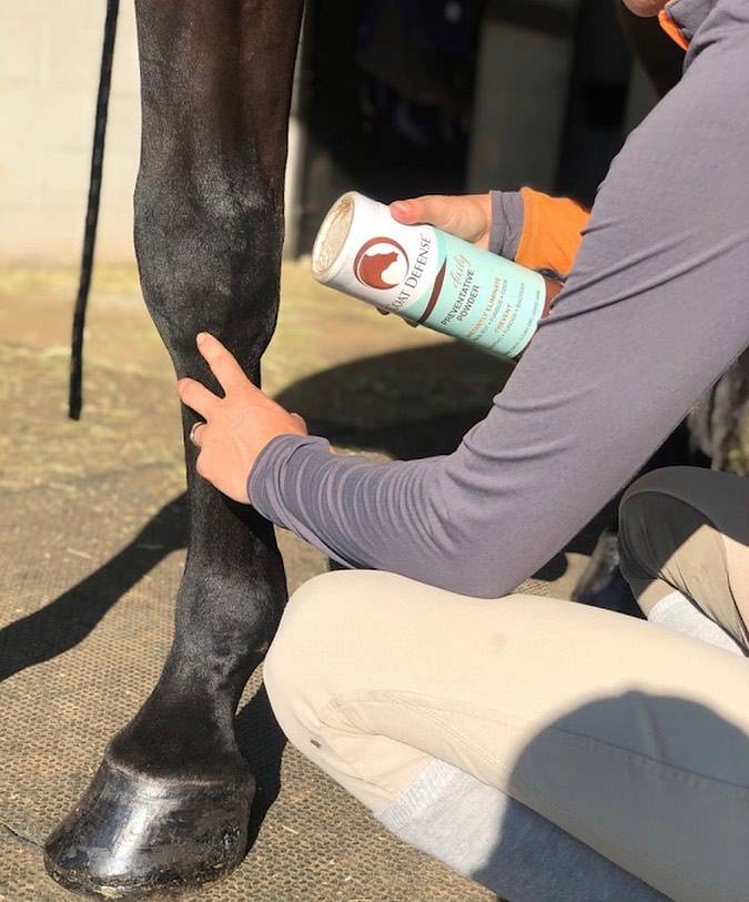 Person applying Coat Defense Daily Preventative Powder to a horse's leg