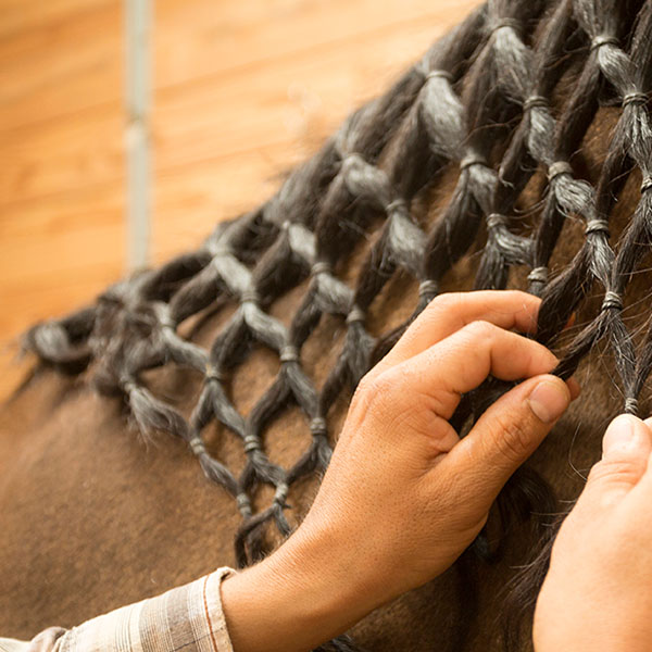 Person diamond braiding a horse's mane