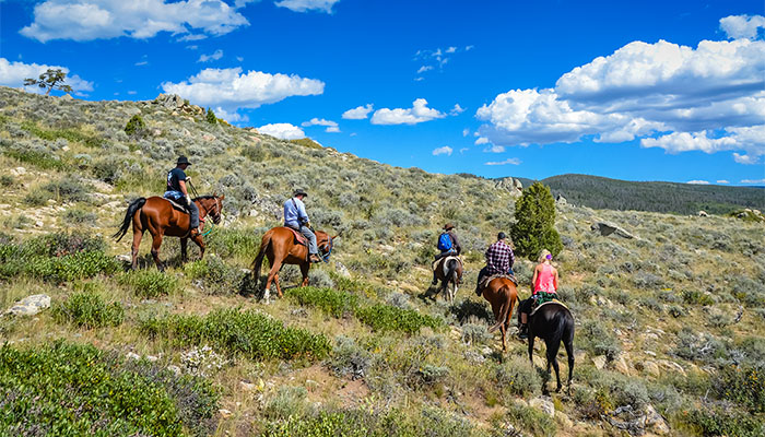 Horseback riding tour on sage covered hill trail in Medicine Bow National Forest in Wyoming