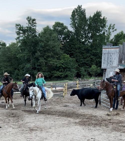 Team penning on the ranch