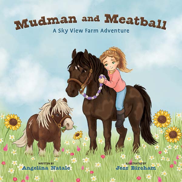 Mudman and Meatball book cover