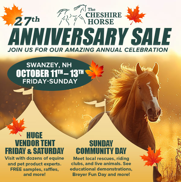 27th Anniversary Sale