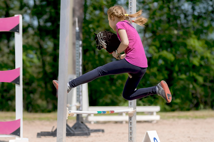 Debunking hobby horse myths