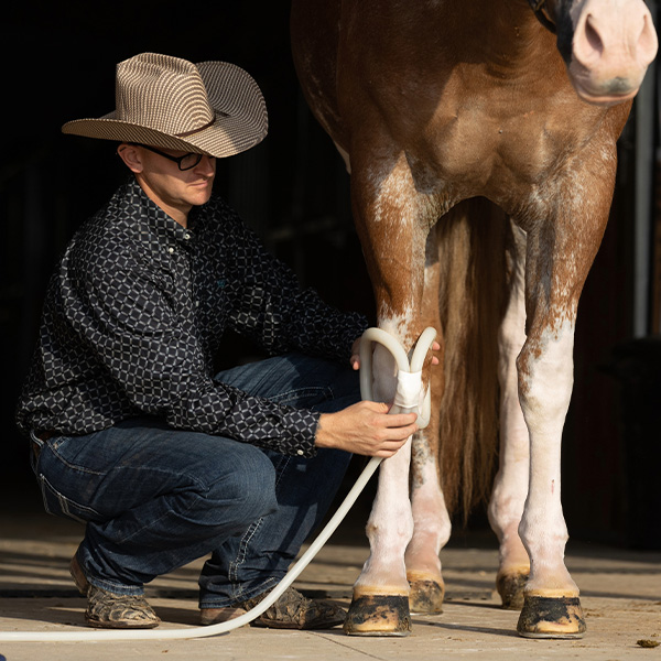 Using PEMF on a horse