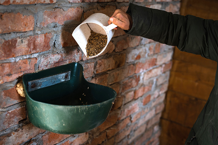 Adding supplements to feed