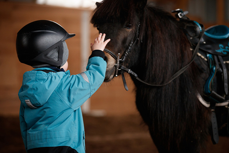 Kid petting pony
