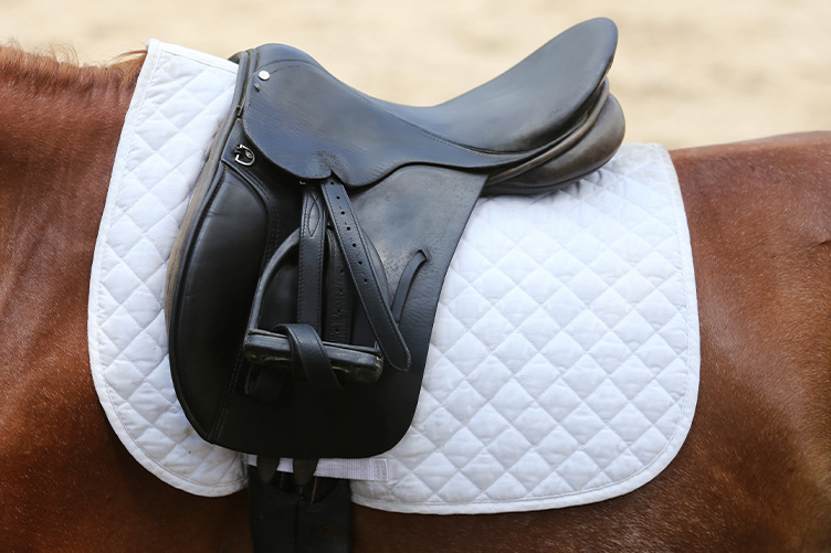 Saddle on a white dressage pad