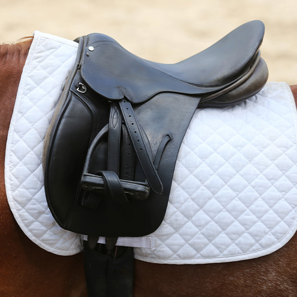 Saddle on a white dressage pad
