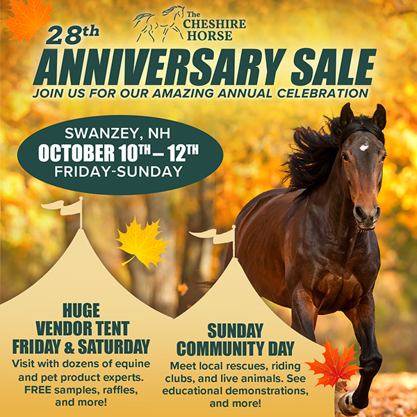 28th Anniversary Sale