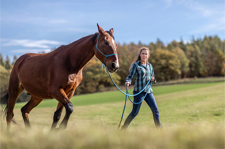 Woman leading a horse