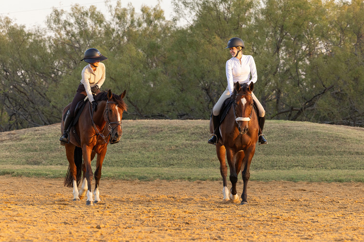 Barn friends