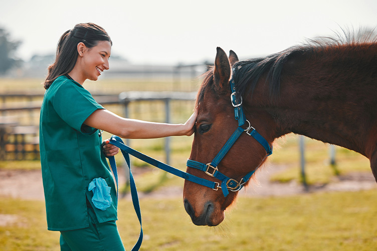 Vet petting a horse
