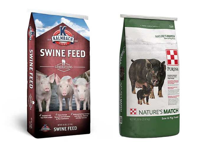 pig feed